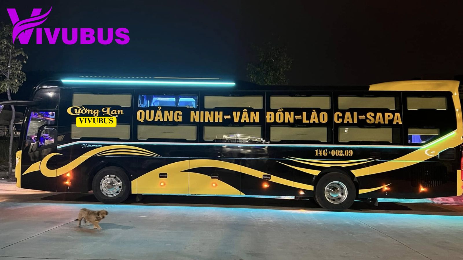 Vé xe 44 Giường Hạ Long - Sapa - Hạ Long - Nhà xe Cường Lan