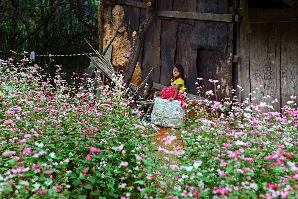 Làng Văn Hóa Du Lịch Lũng Cẩm